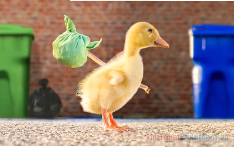 Tổng hợp meme vịt hài hước và bá đạo