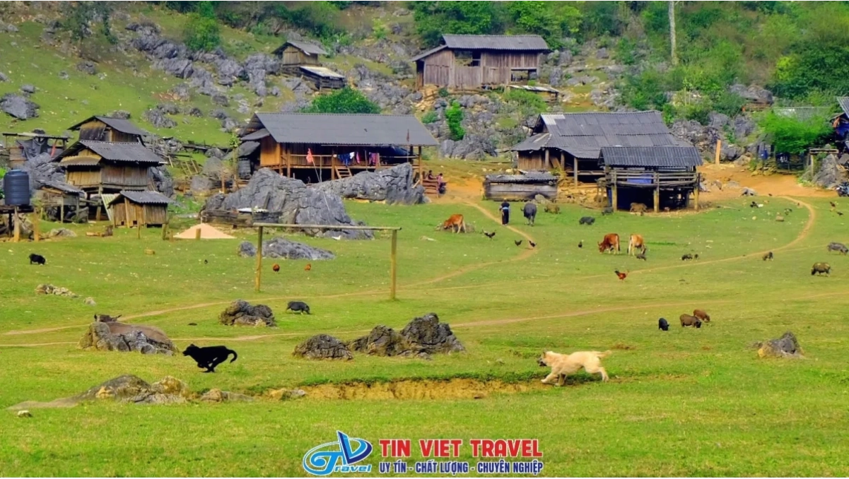 Vẻ đẹp ruộng bậc thang khi khám phá các bản làng dân tộc miền núi phía Bắc