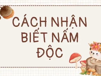 Cách nhận biết nấm độc giúp bạn thoát hiểm phút chót