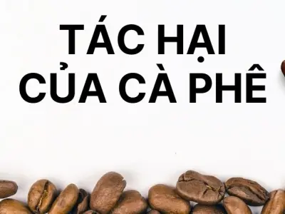 Tác hại của cà phê - Những cạm bẫy sức khỏe ít ai để ý