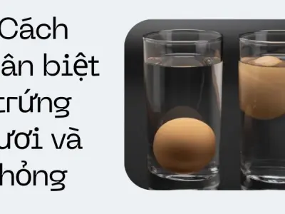 Cách phân biệt trứng tươi và hỏng bằng mẹo dân gian