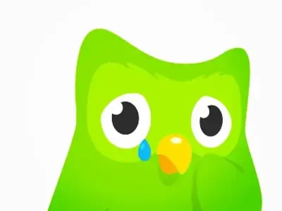 Tải ngay bộ meme duolingo hài hước lầy lội nhất hiện nay
