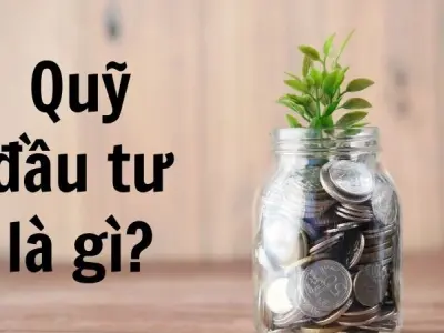 Quỹ đầu tư là gì và những rủi ro chết người bạn cần biết