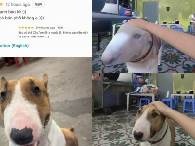 Khám phá 'Cậu Vàng Meme': Hiện tượng mạng xã hội và sức hút khó cưỡng