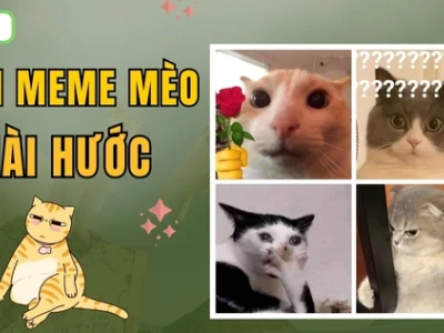 Khám phá meme 'thích' và trào lưu ảnh chế độc đáo