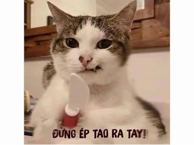 Khám phá Thế giới Ảnh Meme Việt Nam: Hài hước, Sáng tạo và Triệu lượt thích 2026