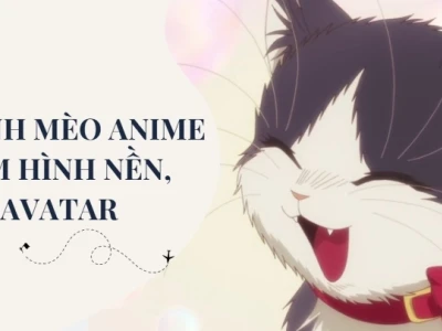 Khám Phá Thế Giới Vẽ Mèo Cute Anime Đáng Yêu Nhất 2026