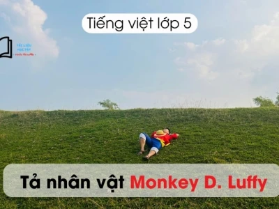 Monkey D. Luffy: Hành Trình Trở Thành Vua Hải Tặc Truyền Cảm Hứng