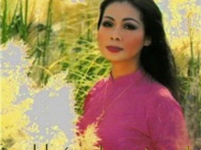 Người Con Gái Việt Nam Da Vàng: Vẻ Đẹp Bất Diệt