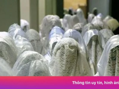 Phụ nữ Ả Rập: Hé lộ cuộc sống đa sắc màu và quyền tự quyết