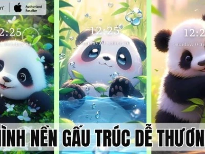 Thế Giới Avatar Gấu Cute: Khám Phá Bộ Sưu Tập Ảnh Nền Độc Đáo