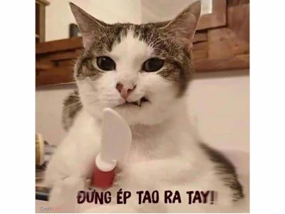 Tổng hợp 24 Meme Nhạt Nhẽo viral nhất 2026