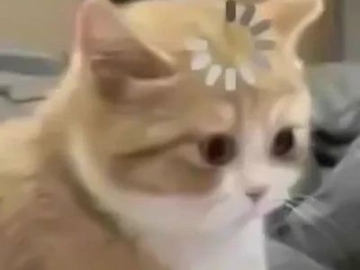 Tổng hợp 70+ ảnh meme hoang mang cực đỉnh, hài hước khó đỡ