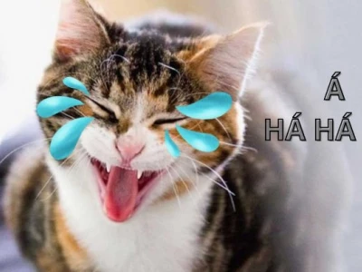Top 582+ Meme Cười Đểu Thâm Thúy Cho Năm 2026