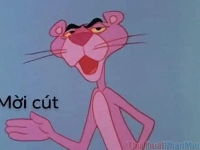 Tuyển tập meme cút thể hiện thái độ đuổi khéo
