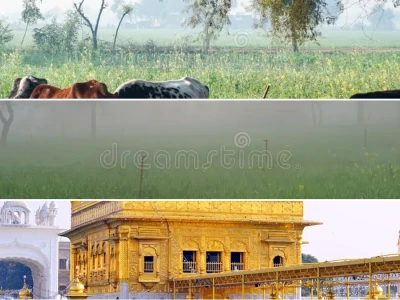 Comprehensive Guide to Weather in Punjab Current Conditions and Forecasts