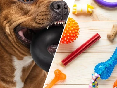 Best chew toys for aggressive chewers large breeds in 2026